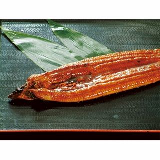 鹿児島県産 霧島湧水うなぎ蒲焼真空 1尾入