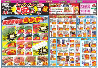 6月10日開始チラシ:表