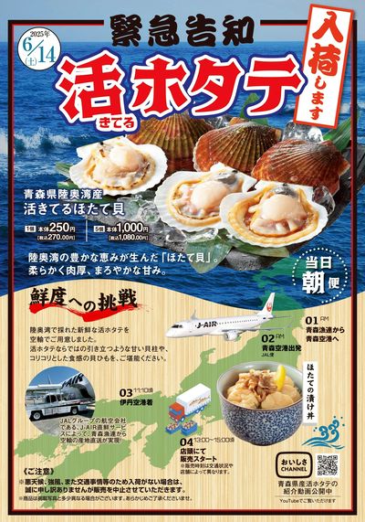 6/7号 活ホタテ入荷します