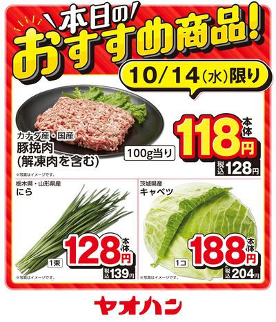 本日のおすすめ商品!