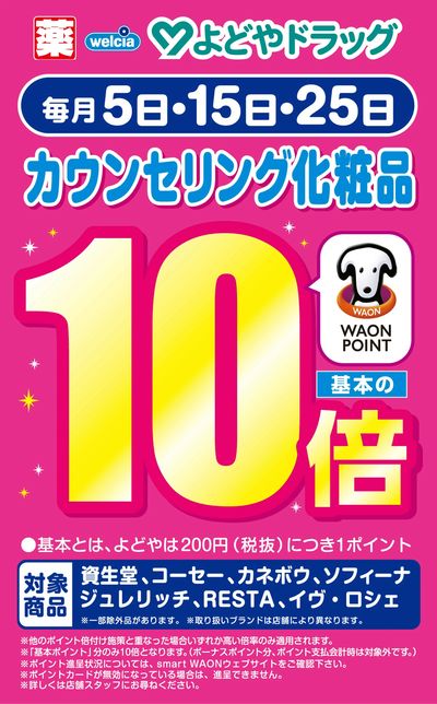 カウンセリング化粧 WAON POINT10倍