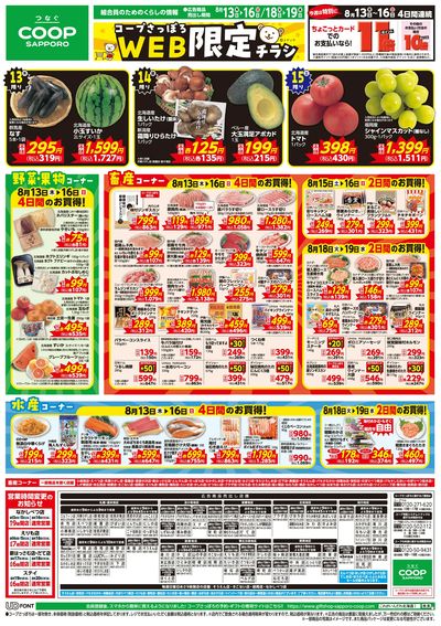 8/13号 WEB限定チラシ