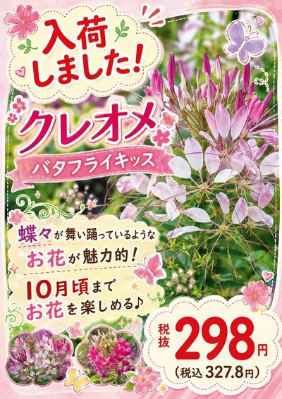 ムサシ須坂店おススメ情報!