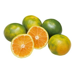 九州産 みかん 1袋