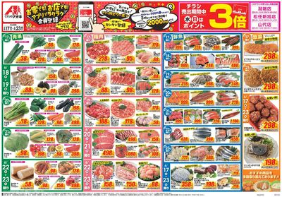 6月17日開始チラシ:表