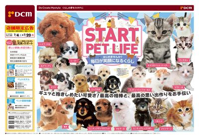 START PET LIFE