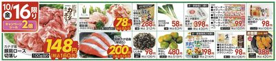 10/16(金)限定