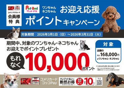 ワンちゃん・ネコちゃん お迎え応援 ポイントキャンペーン