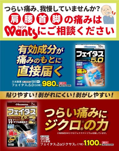 10/16~10/31 ウォンツ フェイタスチラシ