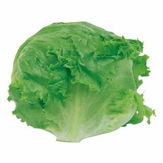 長崎産 レタス 1玉