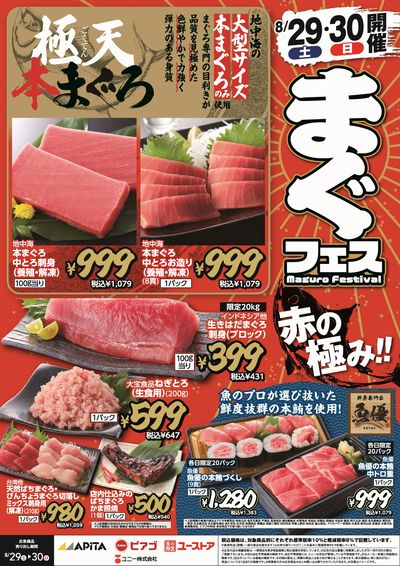 8月29日(土) ~8月30日(日)