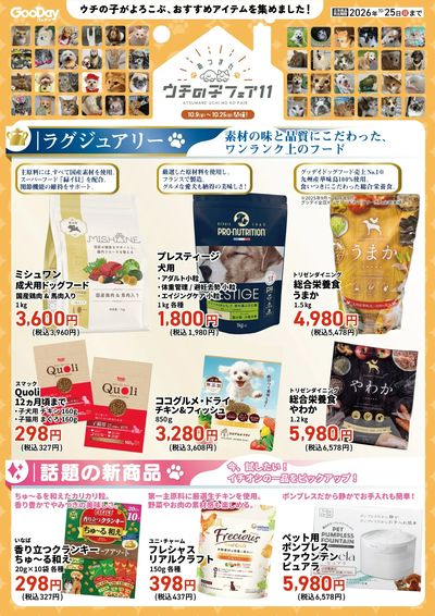 あつまれ ウチの子フェア11_表面