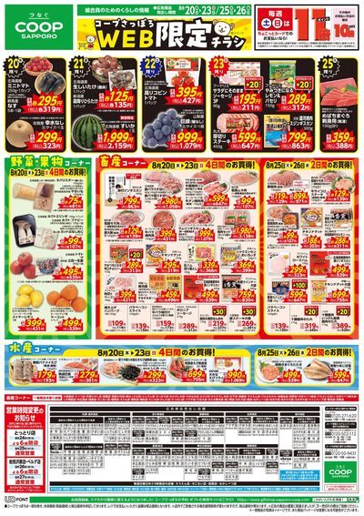 8/20号 WEB限定チラシ