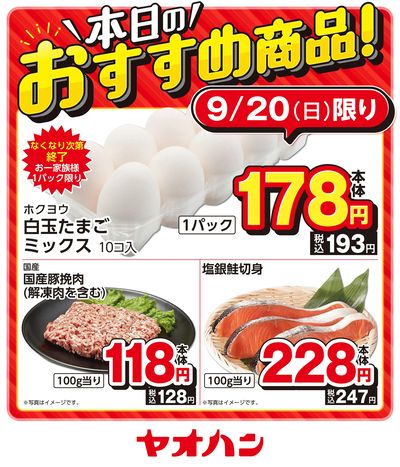 本日のおすすめ商品!