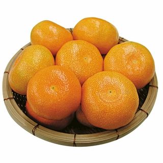 九州産 ハウスみかん 1パック