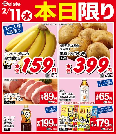 2/11限りのお買い得!