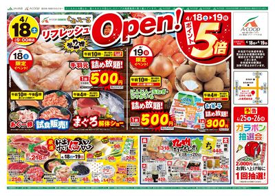26AC0418-0419とみえ~るB4表