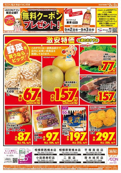 9月2日号均一チラシ(おもて)