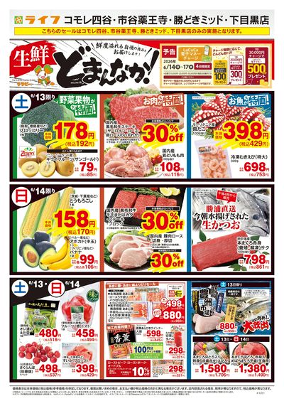 6/13号 生鮮どまんなか!