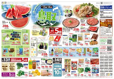 6月13日~6月16日チラシ表