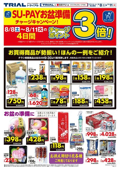 トライアルオーキッドパーク店_裏