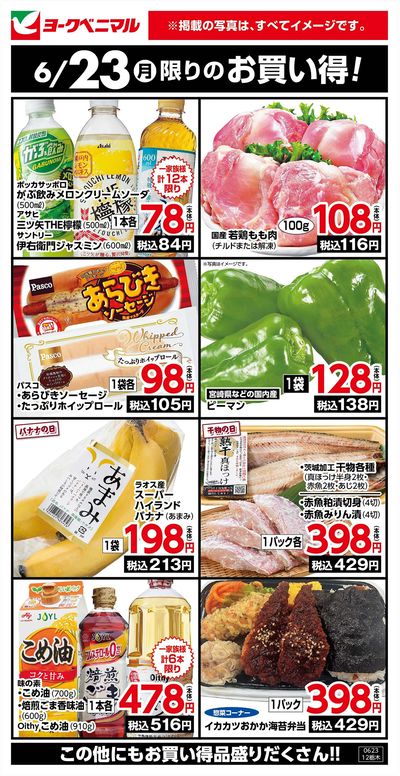 6/23限りのお買い得!