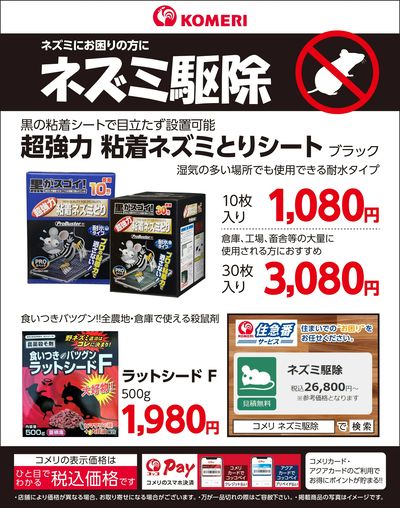ネズミ駆除