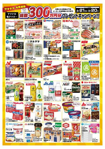 2/21-3/20 ヤマナカ大感謝祭