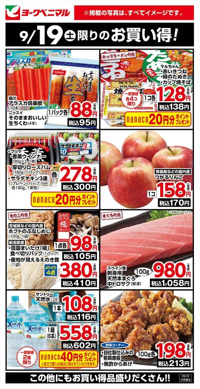 9/19限りのお買い得!
