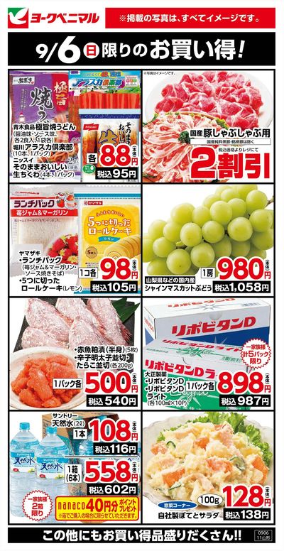 9/6限りのお買い得!