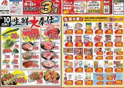 6月10日開始チラシ:表
