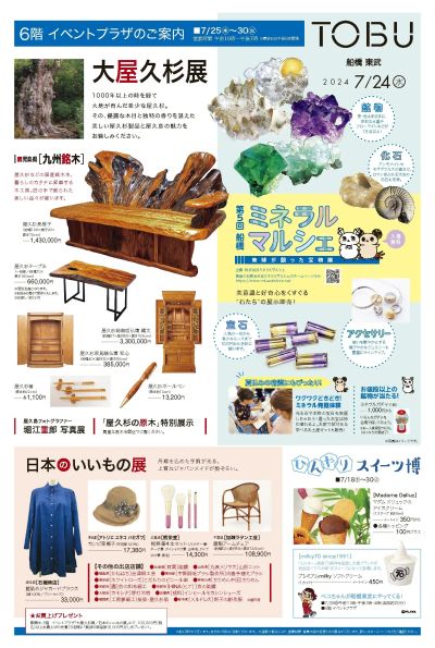 7/24号 表(大屋久杉展)