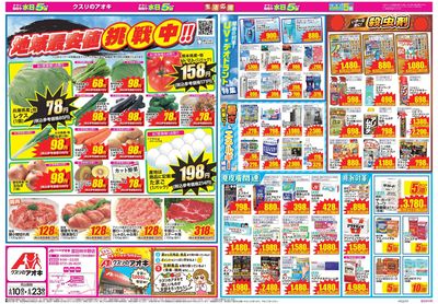 6月10日開始チラシ:表