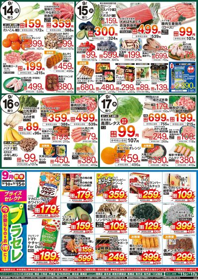 9/11号 厳選お買得品