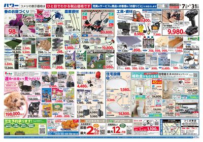 コメリパワー 3/7号 決算市 ウラ