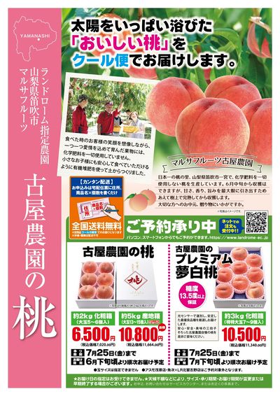 古屋農園の桃