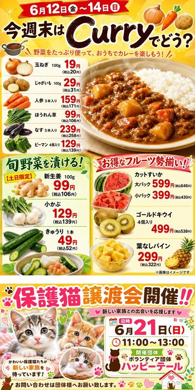 今週末はカレー!