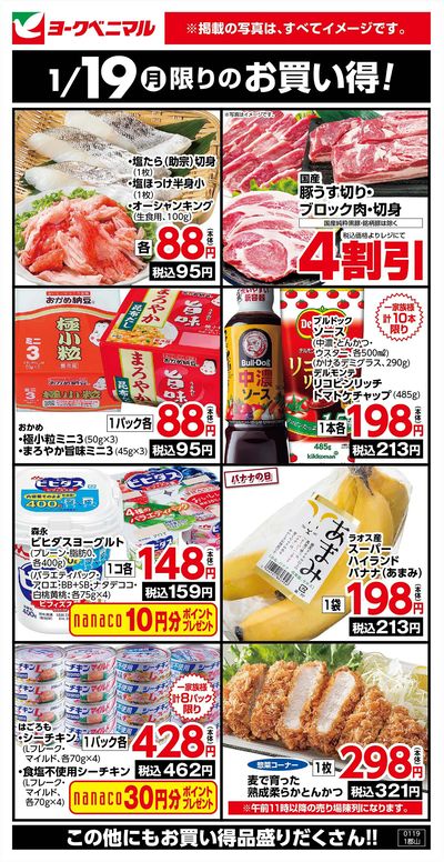 1/19限りのお買い得!