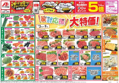 6月3日開始チラシ:表