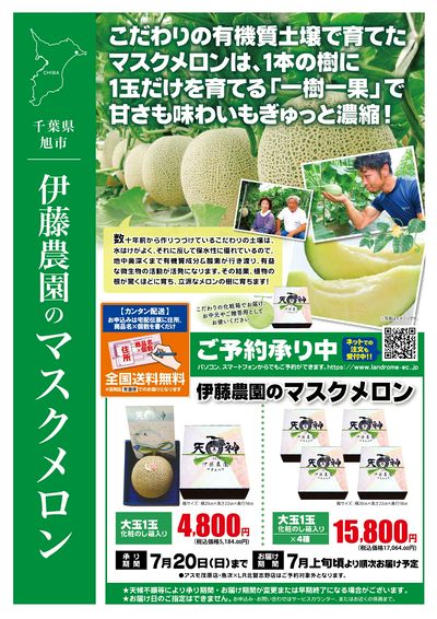 伊藤農園のマスクメロン