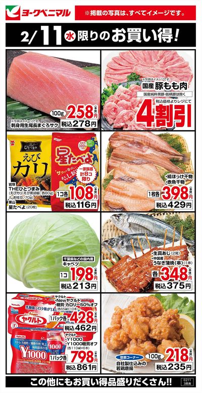 2/11限りのお買い得!