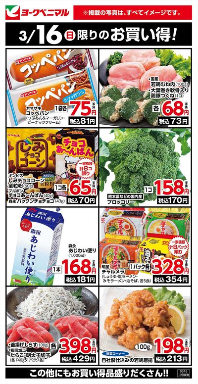 3/16限りのお買い得!