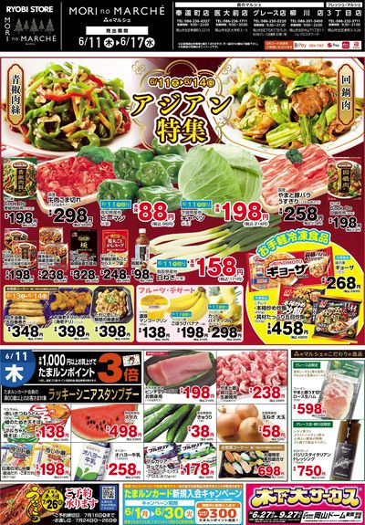 6月11日~6月17日チラシ:おもて