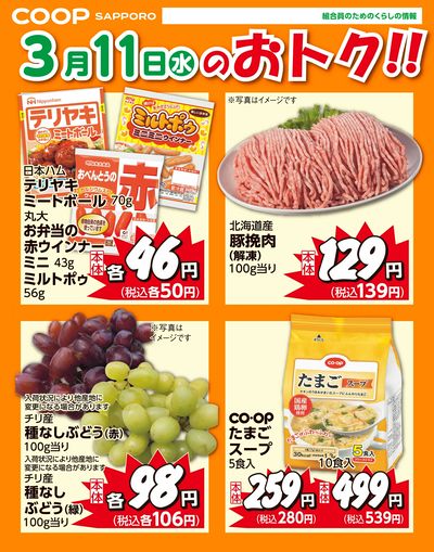 3月11日お買得品