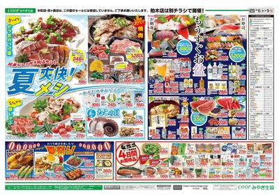 爽快 夏メシ ウラ