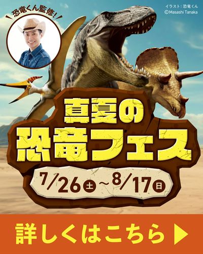 抽選会Now