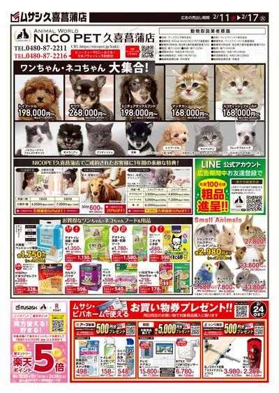 ホームセンタームサシ久喜菖蒲店 02月11日号チラシ 表面