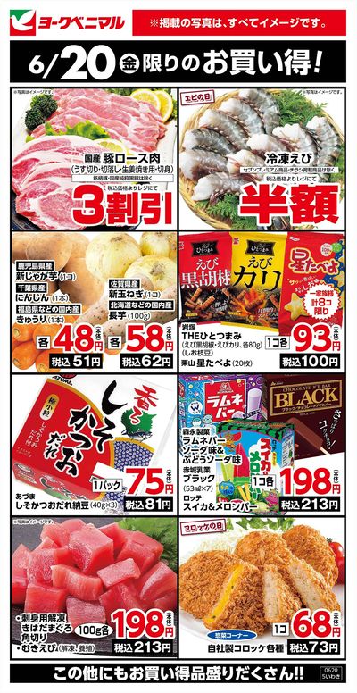 6/20限りのお買い得!