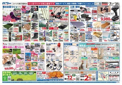 コメリパワー 3/7号 決算市 ウラ