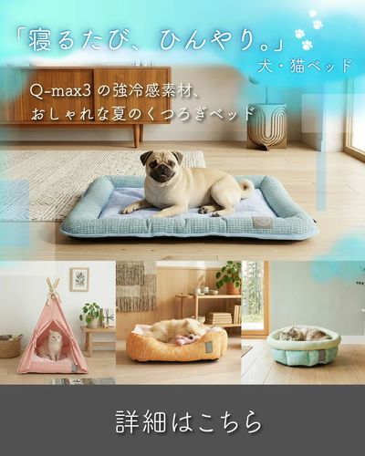 冷感犬猫ベッド